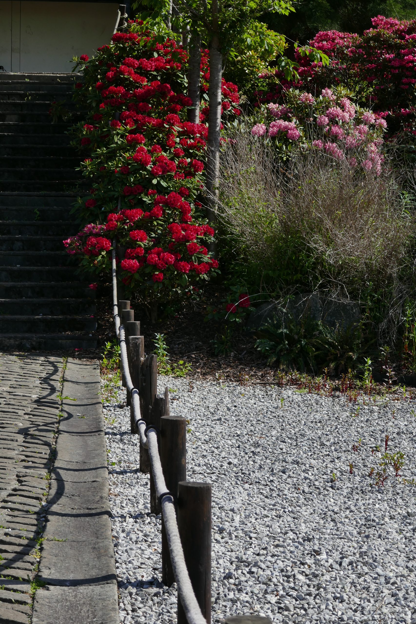 japanese garden 1